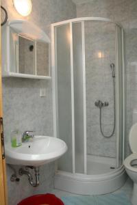a bathroom with a shower and a sink and a toilet at Apartment Sucuraj 136b in Sućuraj