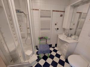 a bathroom with a toilet and a shower and a sink at APPARTAMENTO GREGORY in Predazzo