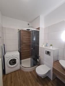 a bathroom with a shower and a toilet and a sink at Apartamenty Katarina in Ustrzyki Dolne
