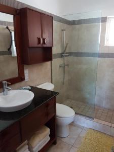 a bathroom with a shower and a toilet and a sink at Garden Studio At Ocean Dream Resort in Cabarete