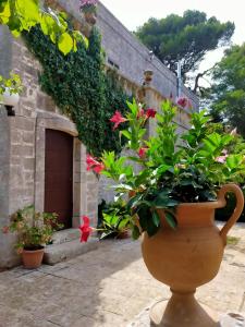 a vase with flowers in front of a building at Villa Sportelli - Antica Dimora in Selva di Fasano