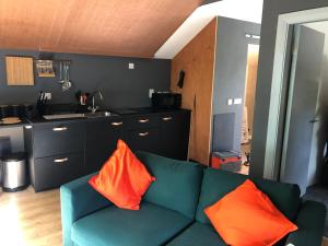 een woonkamer met een groene bank met twee oranje kussens bij Lucys loft in Cork