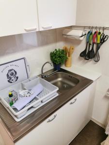 a kitchen sink with a dishrack next to a sink at Fewo Krysik Unterdeck in Lühmannsdorf +12 photos