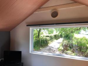ein Fenster in einem Zimmer mit Aussicht in der Unterkunft Lucys loft in Cork