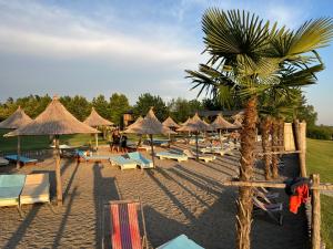 uma praia com cadeiras e guarda-sóis e uma palmeira em Lake Shkodra Resort em Grilë