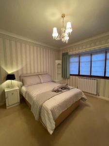 a bedroom with a large bed and a chandelier at Charming 3 bed Bungalow in Bromley