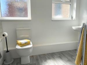 een badkamer met een toilet, een wastafel en 2 ramen bij Stanhope Road in South Shields