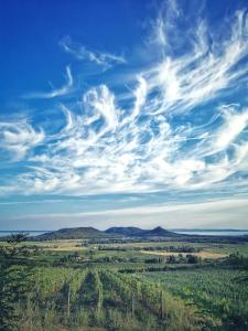 Paesaggio naturale nelle vicinanze dell'appartamento