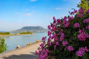 Paesaggio naturale nelle vicinanze dell'appartamento