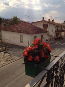 a planter with red flowers on a balcony at B&B La Rosa in Gioia dei Marsi