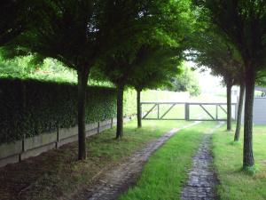 einen von Bäumen gesäumten Weg neben einer Hecke mit einem Zaun in der Unterkunft Apartment Capitalcondos in Ninove