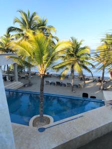 una palmera junto a una piscina junto a la playa en Lago en el Cielo Villas Boutique, en Tolú