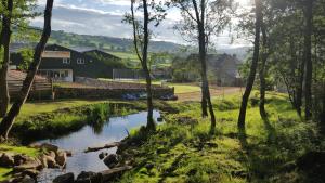 a river in the middle of a field with trees at Harewell wood cabin in Pateley Bridge +51 photos