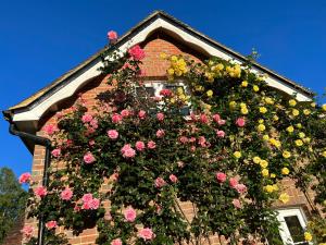 a bunch of flowers on the side of a building at Beeches Cottage - Beautiful Garden - Parking in Handcross