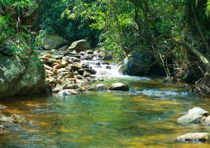 Příroda nedaleko rezortu