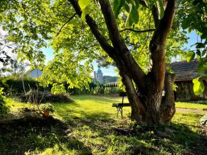 Fotografia z galérie ubytovania Silver Linden Cottage v destinácii Horní Police