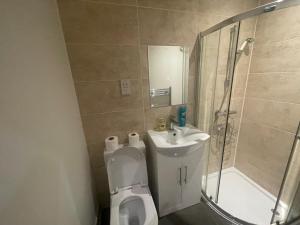 ein Bad mit einem WC, einem Waschbecken und einer Dusche in der Unterkunft Lovely 1 bedroom apartment with on street parking in London