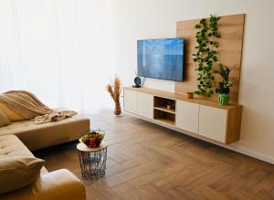 Et tv og/eller underholdning på Adorable Holiday Apartment