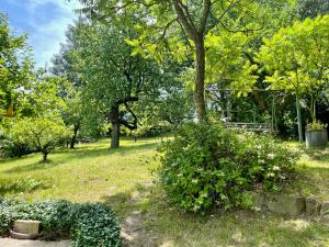 Fotografia z galérie ubytovania Silver Linden Cottage v destinácii Horní Police