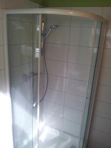 La salle de bains est pourvue d'une douche avec une porte en verre. dans l'établissement New-Castle, à Spa