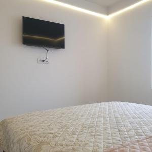 1 dormitorio con 1 cama y TV en la pared en Gas Otel, en Belgrado