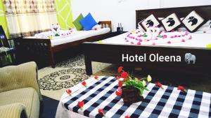 Postel nebo postele na pokoji v ubytování Oleena Home Stay