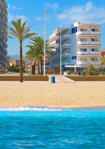 a beach with palm trees and palm trees at Hotel RH Riviera - Adults Only in Gandía