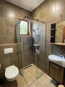 a bathroom with a shower and a toilet and a sink at ATOS Srebrno jezero - Villa and Restaurant in Veliko Gradište