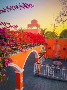 Zahrada ubytování Hacienda San Juan Resort