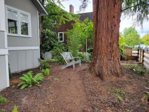 a tree with a bench next to a house at Sunny remodeled craftsman in Georgetown in Seattle