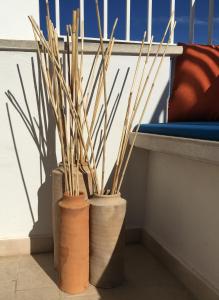 trois vases avec des plantes à l'intérieur assis à côté d'un mur dans l'établissement La Terrazza sul mare - Dimora di Charme, à Giovinazzo