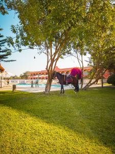 Hosté ubytování Hacienda San Juan Resort