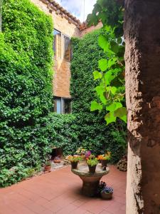 a courtyard with two vases with flowers in it at Casa Palaciega El Cuartel in Medinaceli