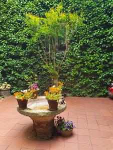 a fountain with three potted plants and flowers on it at Casa Palaciega El Cuartel in Medinaceli