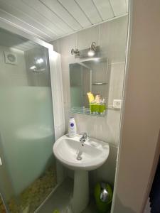 y baño con lavabo y espejo. en L’escale Commingeoise, en Saint-Gaudens