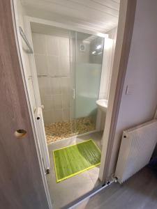 y baño con ducha y alfombra verde. en L’escale Commingeoise, en Saint-Gaudens
