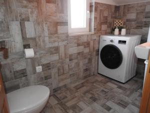 uma casa de banho com um WC e uma máquina de lavar roupa em Apartman Emir em Marčana