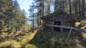 Příroda nedaleko apartmánu