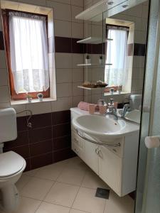 een badkamer met een wastafel, een toilet en een spiegel bij Family friendly apartments with a swimming pool Povljana, Pag - 244 in Povljana