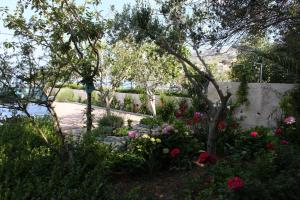 Fotografie z fotogalerie ubytování Apartments by the sea Metajna, Pag - 209 v destinaci Zubovići + 37 fotografií