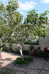 Fotografie z fotogalerie ubytování Apartments by the sea Metajna, Pag - 209 v destinaci Zubovići