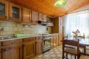 Kuchyňa alebo kuchynka v ubytovaní Apartments by the sea Zavalatica, Korcula - 187
