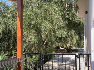 een hek met een boom voor een gebouw bij Magnolia CAPTAINS HOUSE with A POOL in Limassol