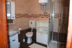 łazienka z toaletą, umywalką i prysznicem w obiekcie Apartments by the sea Zavalatica, Korcula - 182 w mieście Zavalatica