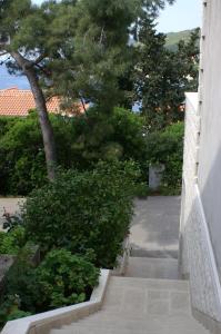 Fotografia z galérie ubytovania Apartments by the sea Zavalatica, Korcula - 185 v destinácii Zavalatica