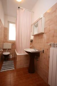 ein Bad mit einem Waschbecken, einer Dusche und einem WC in der Unterkunft Apartments with a parking space Povljana, Pag - 226 in Povljana