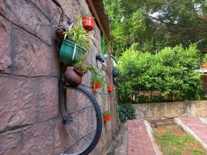 a bike with plants in a basket attached to a wall at Veraima Kandy in Kandy