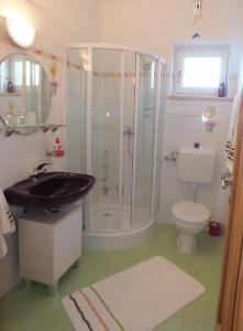 a bathroom with a shower and a sink and a toilet at Ferienhaus Waldhof in Döbrököz