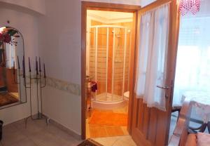 a bathroom with a shower and a door leading to a toilet at Ferienhaus Waldhof in Döbrököz