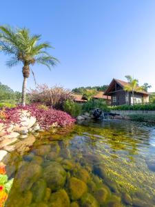 a pond in front of a house with a palm tree at Pousada Scursel in Ibirama